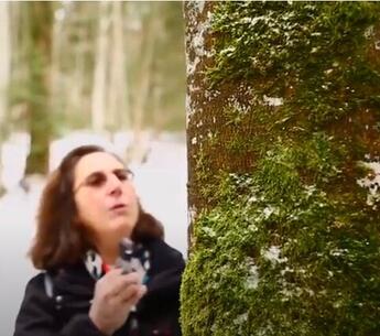 Françoise Peyrissat