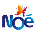 Noé