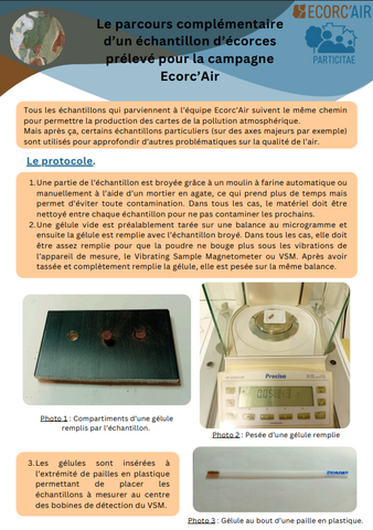 Analyses complémentaires