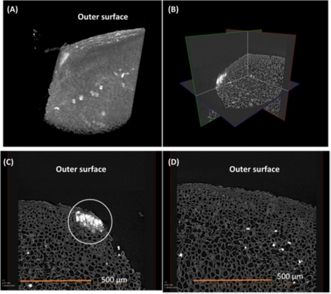 Vue en 3D d'un morceau d'écorce avec des nanoparticules