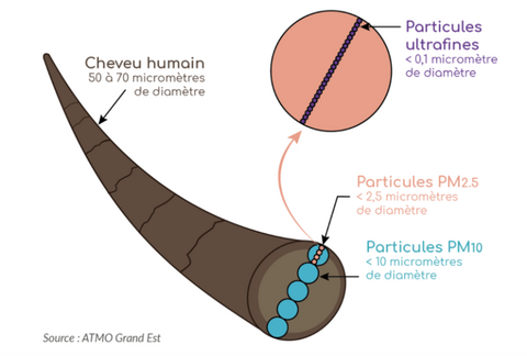 Illustration de la taille des particules fines par rapport à un cheveu