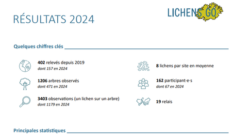 Bilan Lichens GO 2024